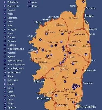 Superbe Pieds Dans L Eau Face A La De Sable Fin Route Des Iles Des Sanguinaires * Αζάτσιο